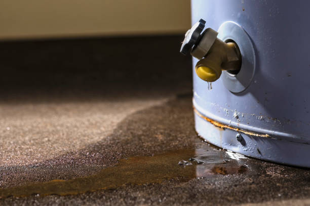 Best Emergency water damage restoration  in Pine Grove, CA