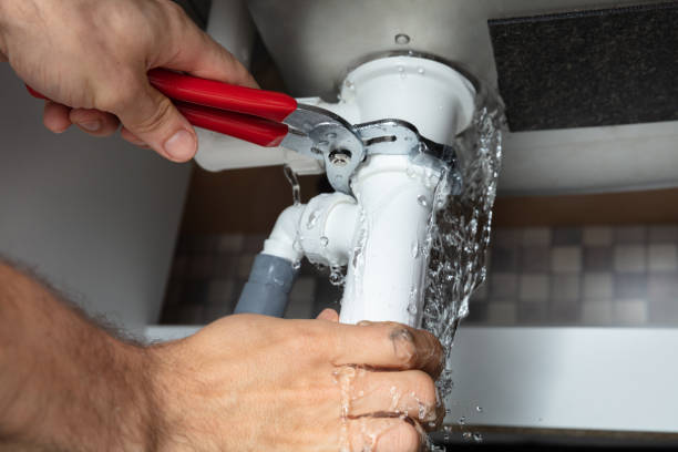 Best 24/7 water damage repair  in Pine Grove, CA