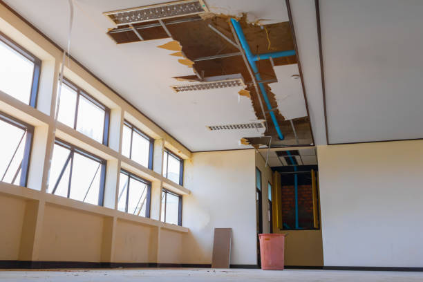 Best Commercial water damage restoration  in Pine Grove, CA