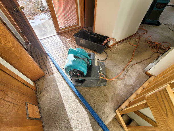  Pine Grove, CA Water damage restoration Pros