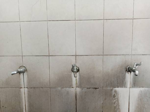 Best Water damage cleanup near me  in Pine Grove, CA