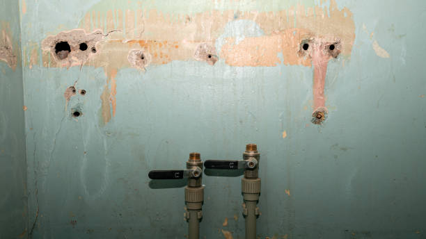 Best Local water damage restoration  in Pine Grove, CA