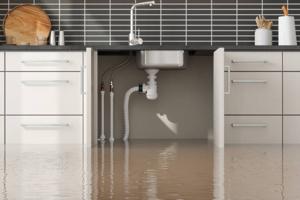 Best Sewage cleanup and water damage restoration  in Pine Grove, CA
