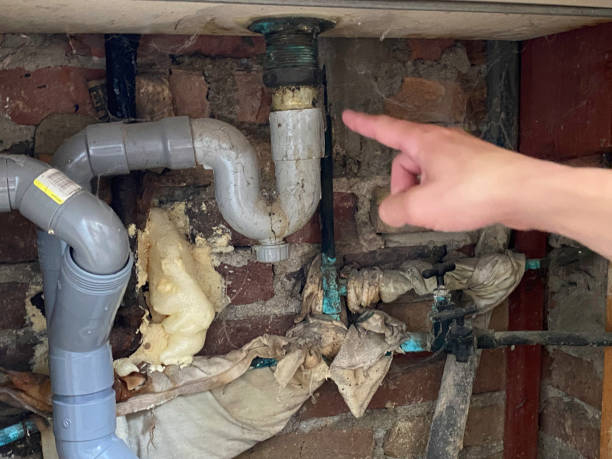 Best 24/7 water damage repair  in Pine Grove, CA
